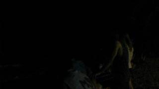 Lightning.AVI