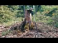 Metal Detecting In Nature - With "Full Tones" And A Tree That Sounded Like A Human