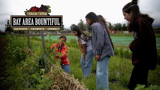 Bay Area Bountiful: The Center for Ecoliteracy