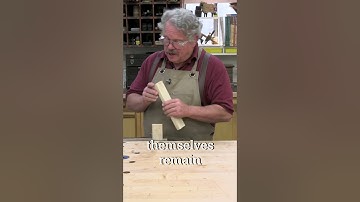 Is Glue Stronger Than Wood? No!