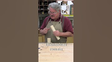 Is Glue Stronger Than Wood? No!