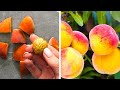 Useful Gardening Hacks || 5-Minute Tips For Growing Fruits And Vegetables!