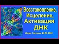 Восстановление, исцеление и активация ДНК  Игорь Ткаченко 29 03 2020