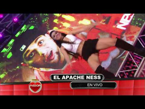 Melisa Massedoni - ¡La nueva morocha de Pasión!