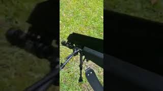 Benjamin Bulldog 357 Vs 3  2x4s