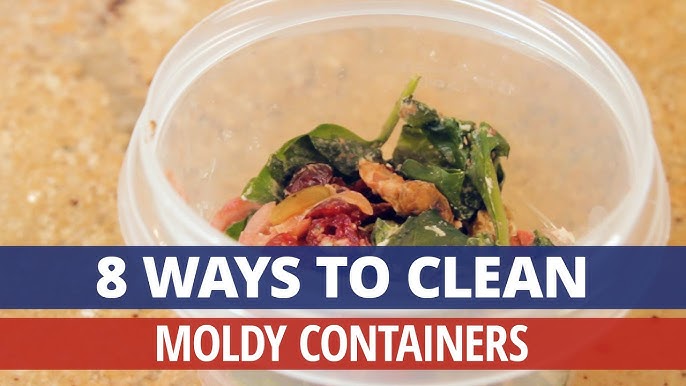 Your travel tumbler lid is full of mold—how to clean it - Reviewed