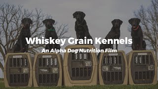 Whiskey Grain Kennels: An Alpha Dog Nutrition Film by Alpha Dog Nutrition 502 views 1 year ago 6 minutes, 51 seconds