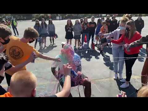 Coach Smith - Silly Stringed