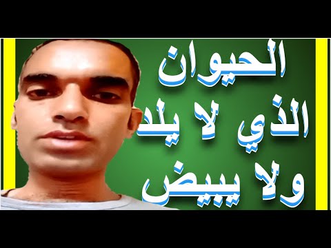 الحيوان الذي لا يلد ولا يبيض