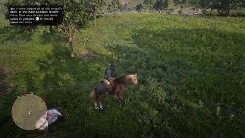 Red Dead Redemption 2 train robbery/ free roam