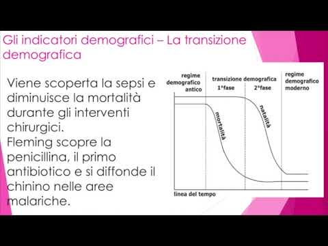 Video: DTranNER: Riconoscimento Dell'entità Denominata Biomedico Con Modello Di Transizione Etichetta-etichetta Basato Sull'apprendimento Profondo