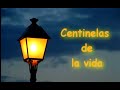 CENTINELAS DE LA VIDA, Documental sobre la Sensibilidad Química Múltiple