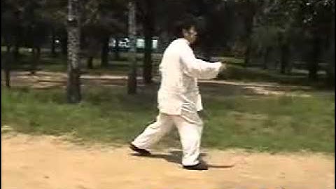 Xu Shixi Chen Style Taiji First Form, Level 5 Flash Attack