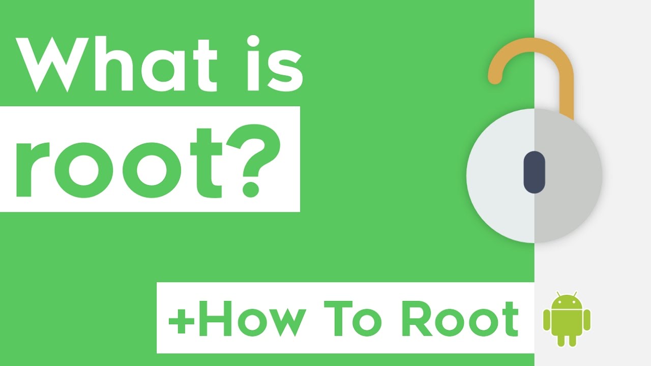 I am rooted. I am root. What is root Motion.