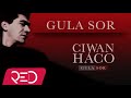 Ciwan haco  gula sorremastered official audio