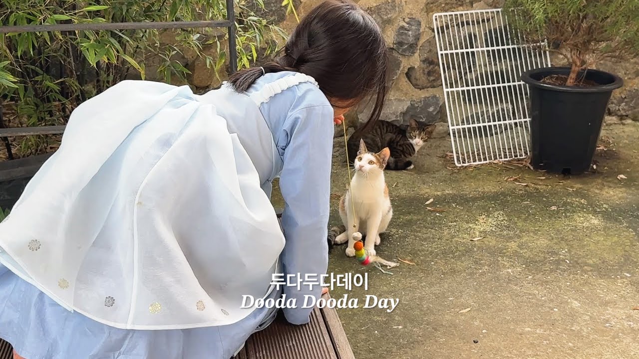 가을 울산 여행 | 추석 선물 포장지로 만드는 고양이 바구니 | 애착 인형 수리 | Sewing Vlog