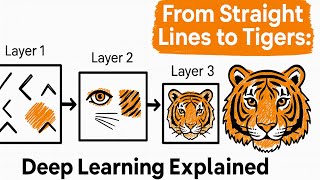 From Straight Lines to Tigers: How Deep Learning Works (Explained Simply)