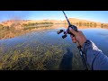 Fishing a Popular Bay Area Reservoir (Deeper CHIRP 2 Review)