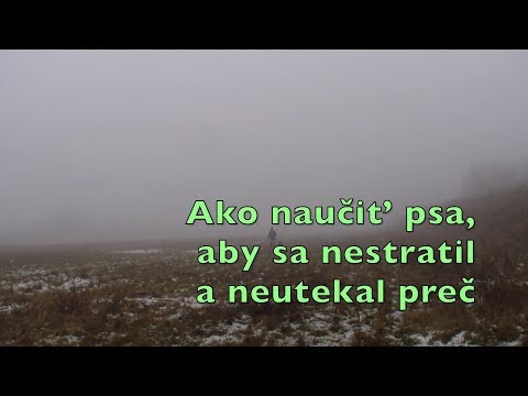 Video: Prírodné oleje, ktoré odpudzujú mačky