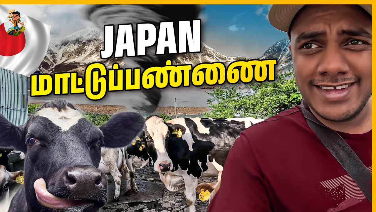 மாடு மேய்க்கவும், மனுஷனை மேய்க்கவும் ஒரே சம்பளம்!! | Japan | Tamil Trekker
