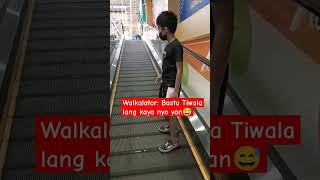 Walkalator What Is The Difference?