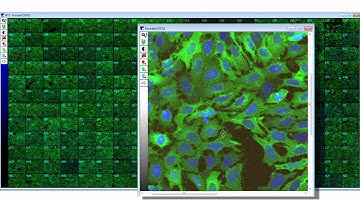ImageXpress Micro System Workflow Demonstration