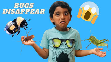 BUGS CATCHING AT HOME PRETEND PLAY AND LEARN FACTS FOR KIDS!