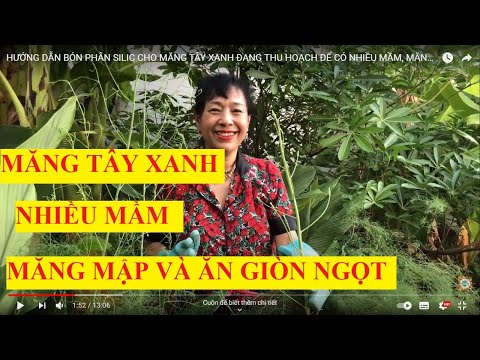 Video: Thân măng tây gầy - Lý do chồi măng tây gầy