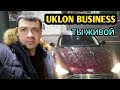 UKLON BUSINESS ТЫ ЖИВОЙ