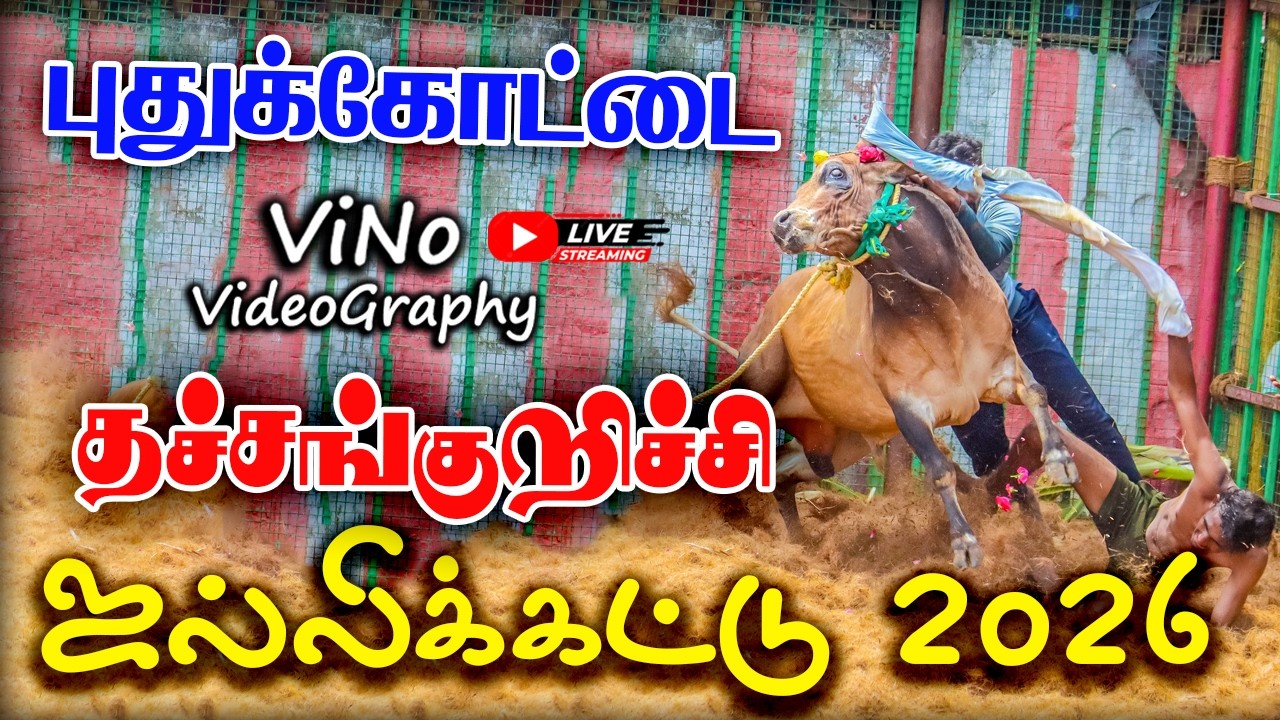 புதுக்கோட்டை  தச்சங்குறிச்சி ஜல்லிக்கட்டு 2026 | Thachankurichi Jallikattu 2026 | ViNo Videography 🔴