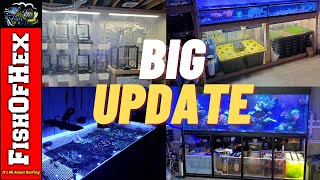 Saltwater Fish Room Update 4.18.21 | 3D Printing | Hydroponics | Microgreens screenshot 2
