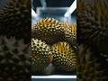 Durian shell #viral #howitsmade #insidethefactory #factoryprocess