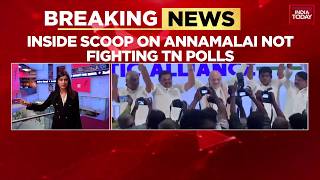 Breaking News Tamil Nadu Bjps Annamalai Objects To Seat Allocation, Writes To Central Leadership