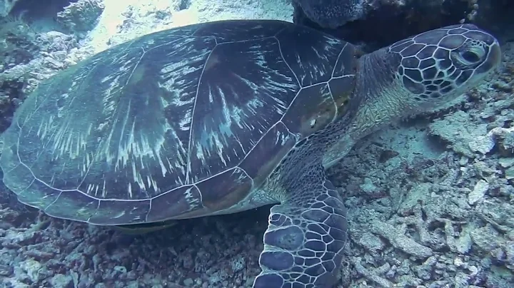 3 hours of light, relaxing and uplifting music