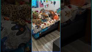 Can you spot the dogs hiding in plain sight? 😂 Watch till the end for a surprise!