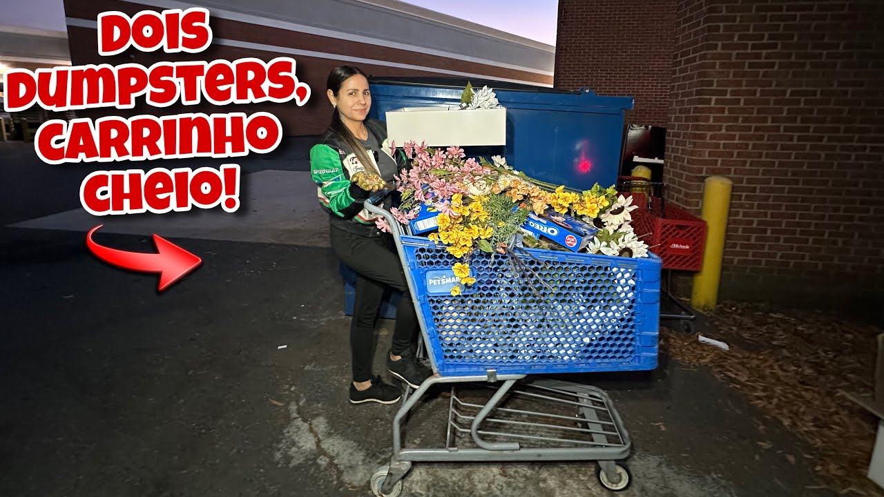 DOIS DUMPSTER, CARRINHO CHEIO DE COISAS NOVAS!🇺🇸