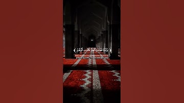 ولما فصلت العير قال ابوهم اني لاجد ريح يوسف. القارئ حاتم المالكي #قران_كريم #راحه_نفسيه
