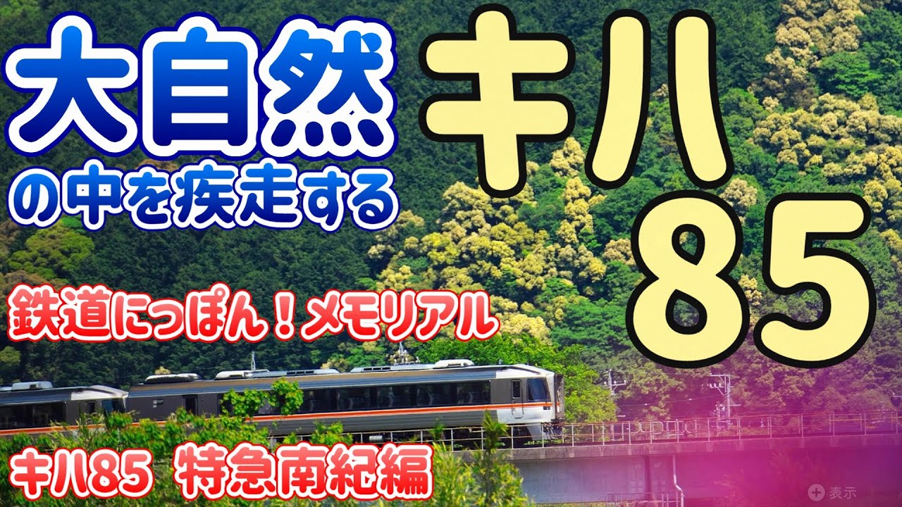 大自然の中のキハ85！ 追憶運転 多気→三瀬谷 ～鉄道にっぽん