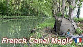 French Canal Magic..mega trip 🎣
