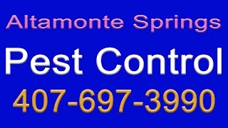 Pest Control Altamonte Springs | 407-697-3990 | Altamonte Springs Florida Pest Control