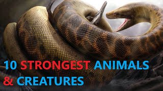 10 STRONGEST ANIMALS IN THE WORLD | ABNORMALLY POWERFUL CREATURES