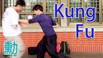 shiun kung fu # 1 - 勳功夫- 八步螳螂拳散手#1 - Leon Chu (朱思勳)