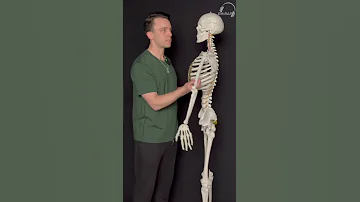 RIPE For Chest X Ray 