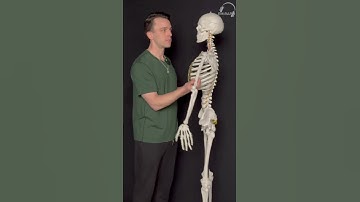 RIPE for Chest X-Ray