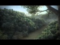 Selva Vray - Altomayo