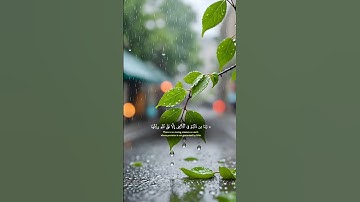 تلاوة خاشعه اسمع بقلبك 🍂🎧#قرآن #quran #اكسبلور #المصحف #راحة_نفسية #لايك #trending