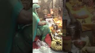 bhog Seva 🙏 #shorts #krishna #viralvideo #radheradhe #krishnabhajan #rudhikraghavvlogs
