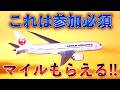 これは参加必須!!️JALマイルもらえる❗️