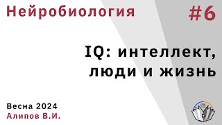 Нейробиология обучения 6. IQ: интеллект, люди и жизнь (часть 1)