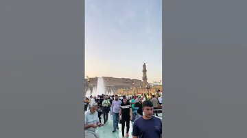 طحت بديرة حتى شايبهم نذل 
